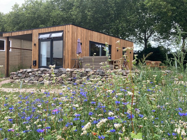 De bouw van Tiny Kepegchel in Beeld!